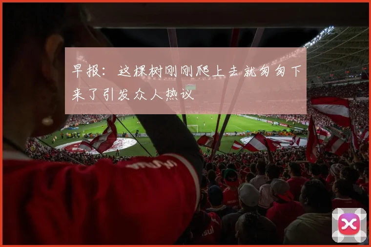 早报：这棵树刚刚爬上去就匆匆下来了引发众人热议
