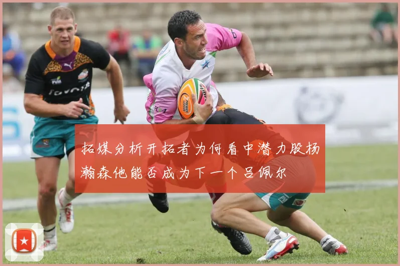 拓媒分析开拓者为何看中潜力股杨瀚森他能否成为下一个吕佩尔